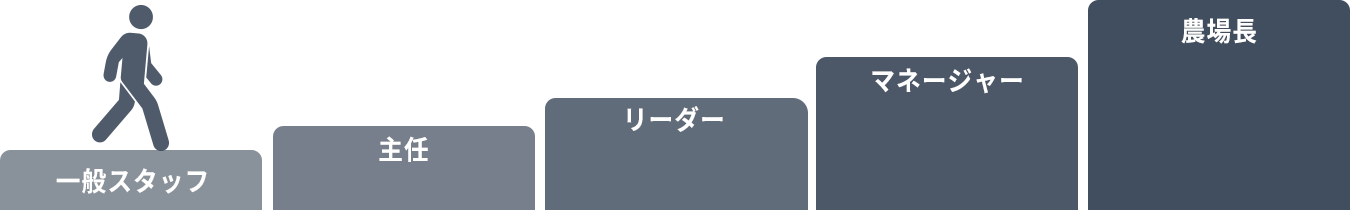 一般スタッフ　主任　リーダー　マネージャー　農場長