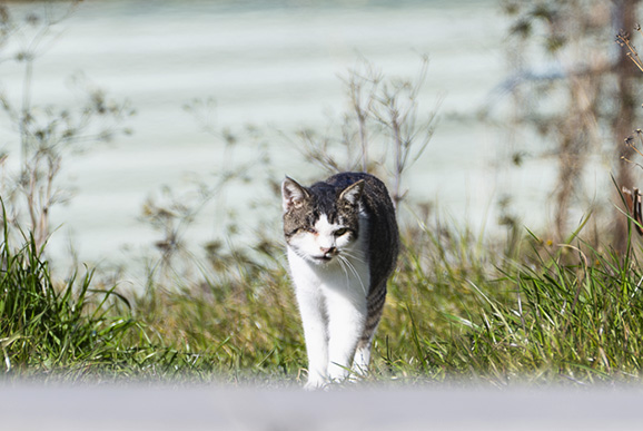 slider image 04